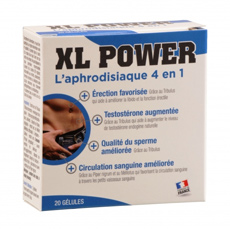 XL Power